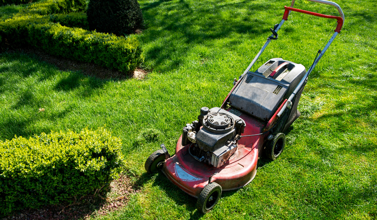 Best 4-Cycle Small Engine Oil: Top Picks & Factors 1 4-Cycle Small Engine Oil for Lawn Mowers and Generators