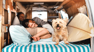 tips for traveling with pets
